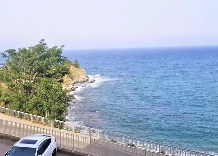 Appartement T3 A Banyuls, Climatise, Proche Plage - Fr-1-309-281